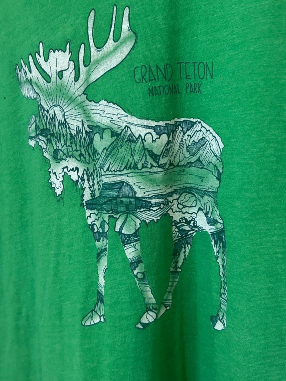 Wild Tribute Men’s -Shirt Grand Teton National Park Green Size 2XL - Picture 3 of 8